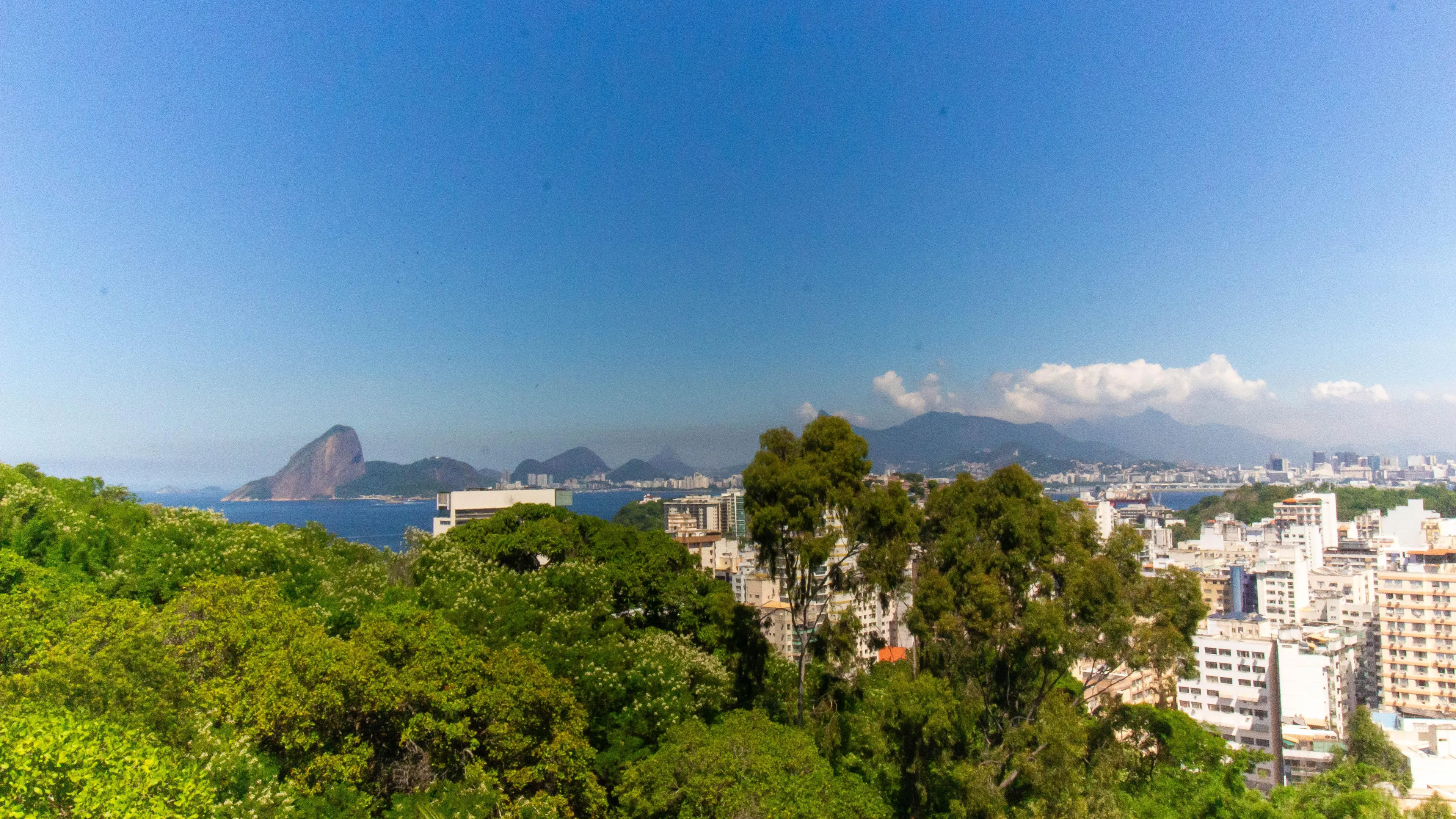 Apartamento - Sou Mais Icaraí - foto 19